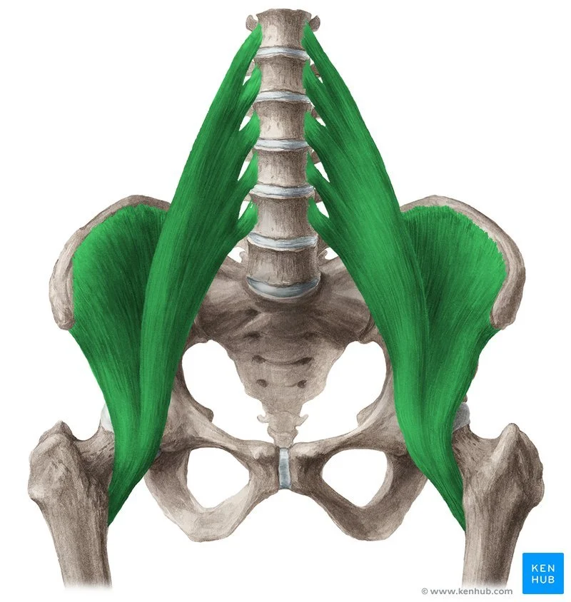 Freeing Your Hips: A Guide to Hip Pain Relief